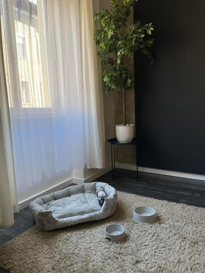 Spacious Apartment Almassy Будапеща Екстериор снимка